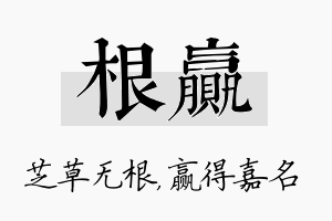 根赢名字的寓意及含义