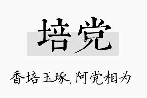 培党名字的寓意及含义