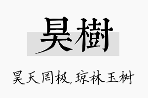 昊树名字的寓意及含义