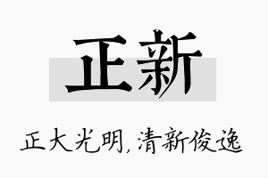 正新名字的寓意及含义