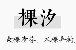 棵汐名字的寓意及含义