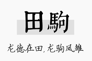 田驹名字的寓意及含义