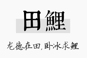 田鲤名字的寓意及含义