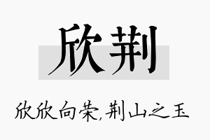 欣荆名字的寓意及含义