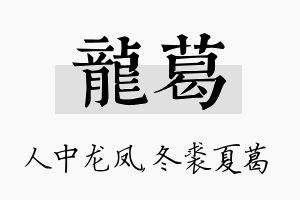 龙葛名字的寓意及含义