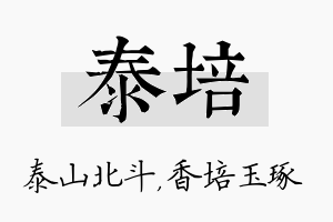 泰培名字的寓意及含义