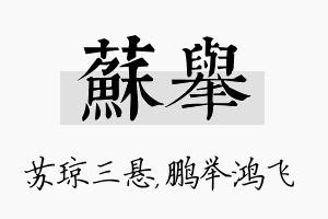 苏举名字的寓意及含义