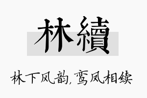 林续名字的寓意及含义