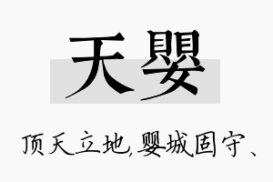 天婴名字的寓意及含义