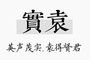 实袁名字的寓意及含义