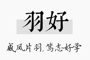 羽好名字的寓意及含义