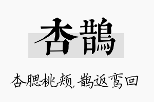 杏鹊名字的寓意及含义