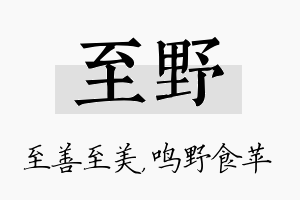 至野名字的寓意及含义