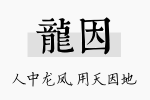 龙因名字的寓意及含义