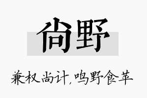 尚野名字的寓意及含义