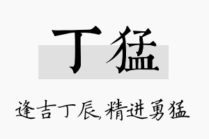 丁猛名字的寓意及含义