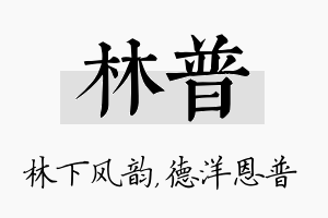 林普名字的寓意及含义