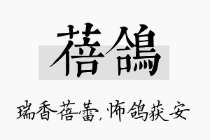 蓓鸽名字的寓意及含义