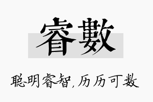 睿数名字的寓意及含义