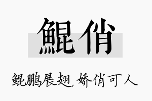 鲲俏名字的寓意及含义