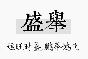 盛举名字的寓意及含义