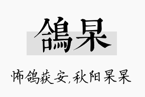 鸽杲名字的寓意及含义