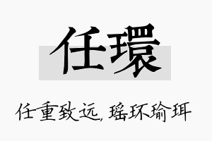 任环名字的寓意及含义