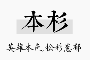 本杉名字的寓意及含义