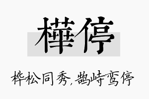 桦停名字的寓意及含义