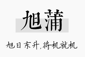 旭蒲名字的寓意及含义