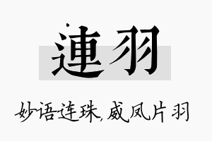 连羽名字的寓意及含义