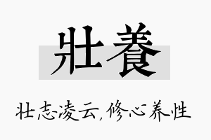 壮养名字的寓意及含义