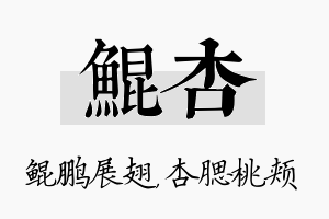 鲲杏名字的寓意及含义