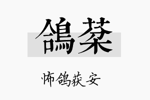 鸽棻名字的寓意及含义