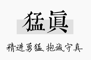 猛真名字的寓意及含义