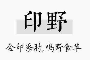 印野名字的寓意及含义