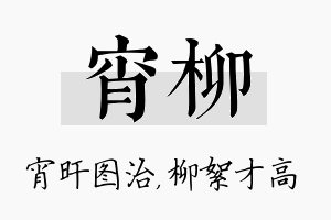 宵柳名字的寓意及含义