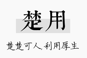 楚用名字的寓意及含义