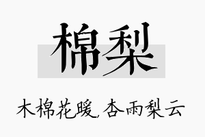 棉梨名字的寓意及含义