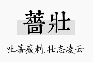 蔷壮名字的寓意及含义