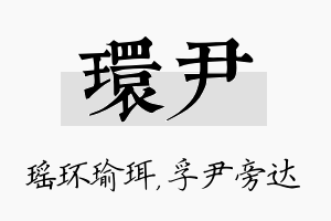 环尹名字的寓意及含义