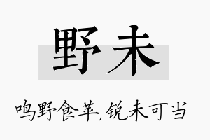 野未名字的寓意及含义