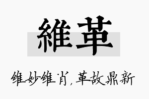 维革名字的寓意及含义