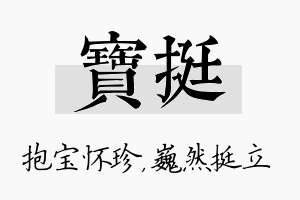 宝挺名字的寓意及含义