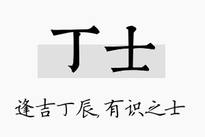 丁士名字的寓意及含义