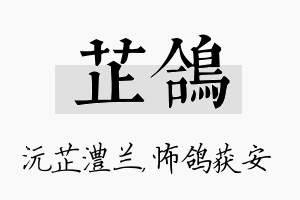 芷鸽名字的寓意及含义