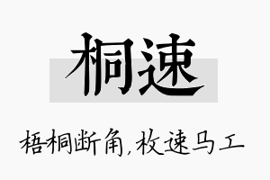 桐速名字的寓意及含义