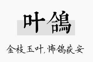 叶鸽名字的寓意及含义