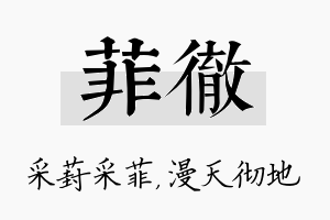 菲彻名字的寓意及含义