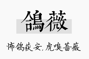 鸽薇名字的寓意及含义